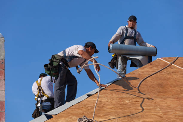 Best Metal Roofing Contractor  in Cleveland Heights, OH