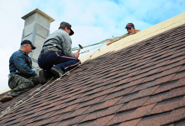 Best Roof Repair Services  in Cleveland Heights, OH